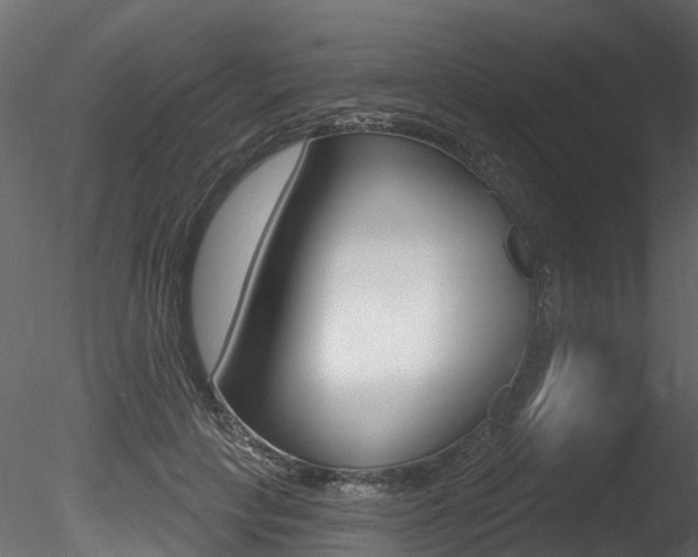 X0000085820649200703161057