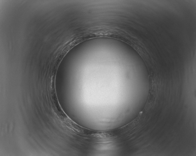 X0000085820652200703161057