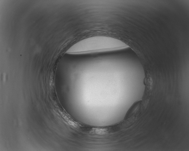 X0000085820665200703161057