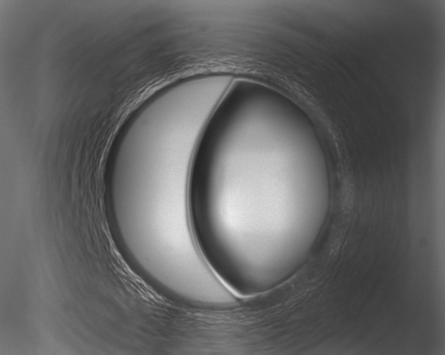 X0000085820673200703161056
