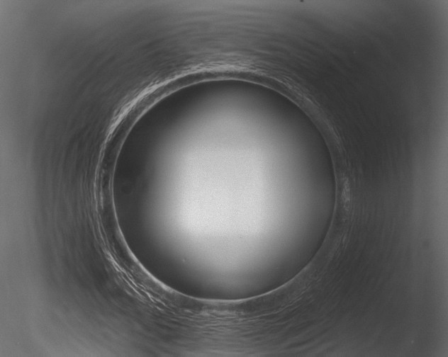 X0000085820676200703161056