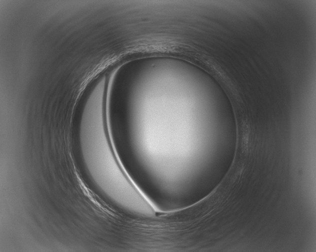 X0000085820677200703161056