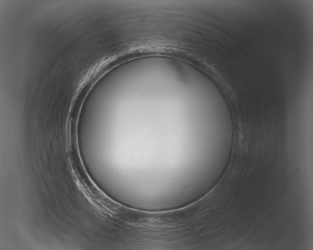 X0000085820678200703161056