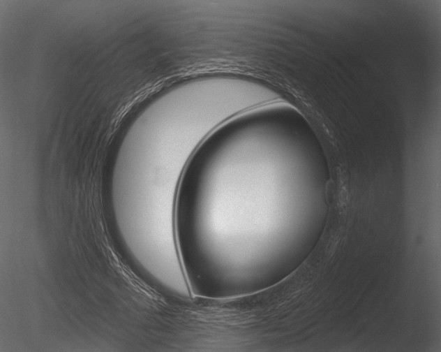 X0000085820681200703161056