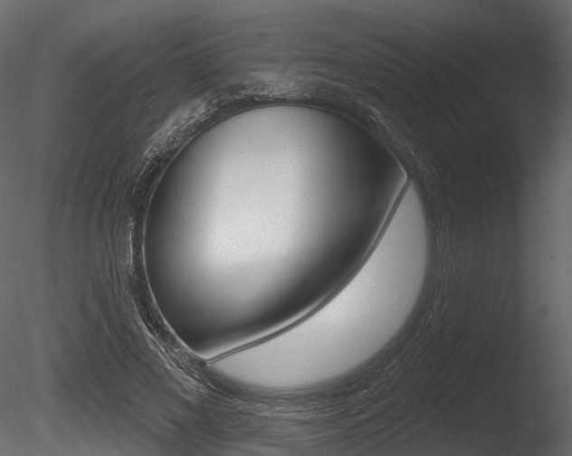 X0000085820685200703161056