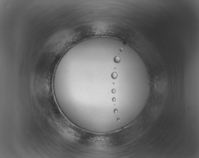 X0000085820691200703161056
