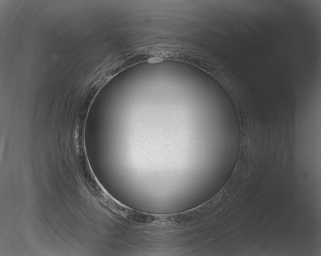 X0000085820696200703161056