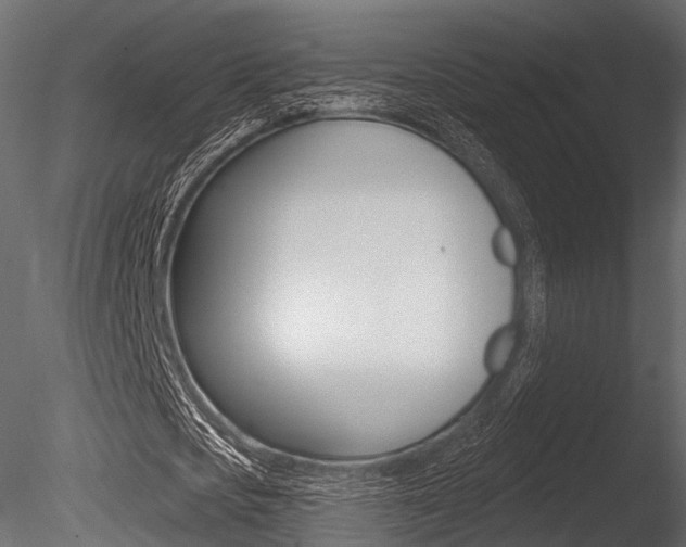 X0000085820721200703161055