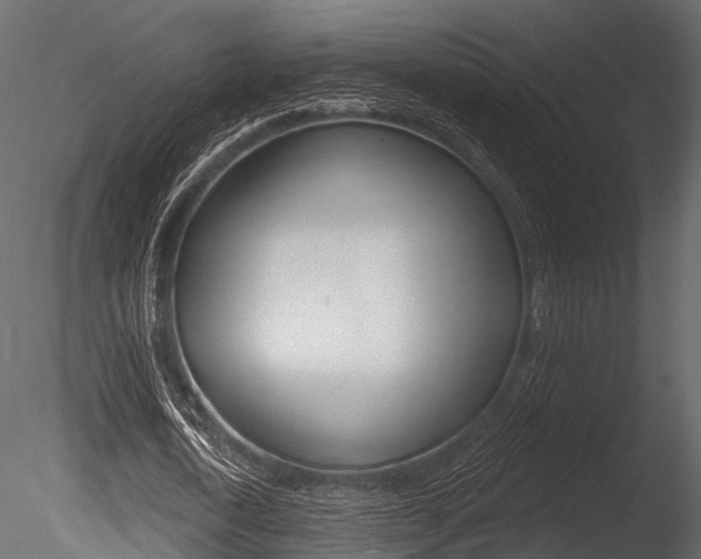 X0000085820722200703161055