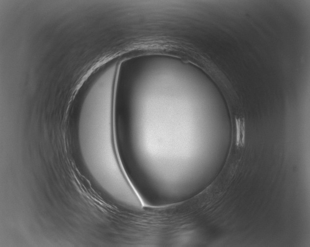 X0000085820723200703161055