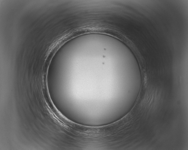 X0000085820725200703161055