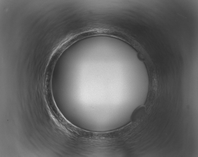 X0000085820730200703161055