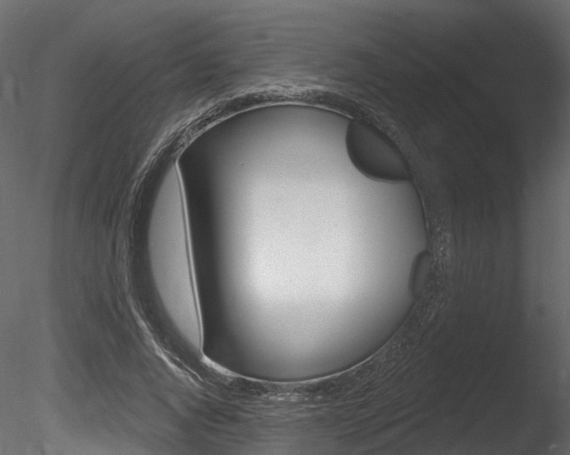 X0000085820736200703161055