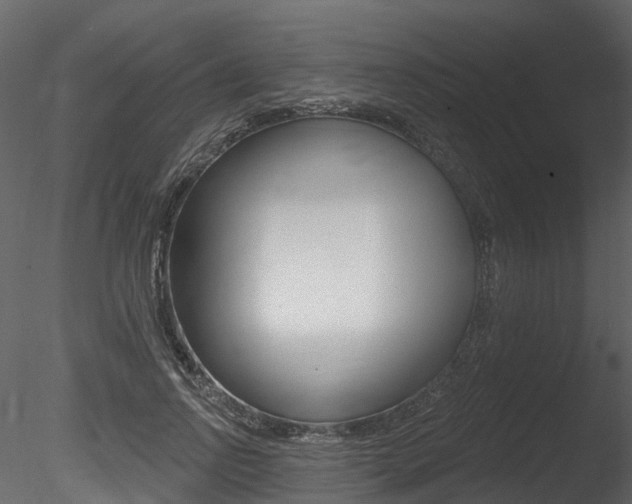 X0000085820742200703161055