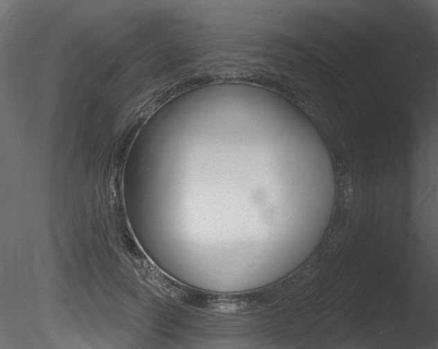 X0000085820746200703161055