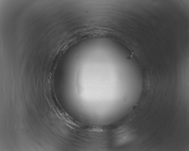 X0000085820759200703161055