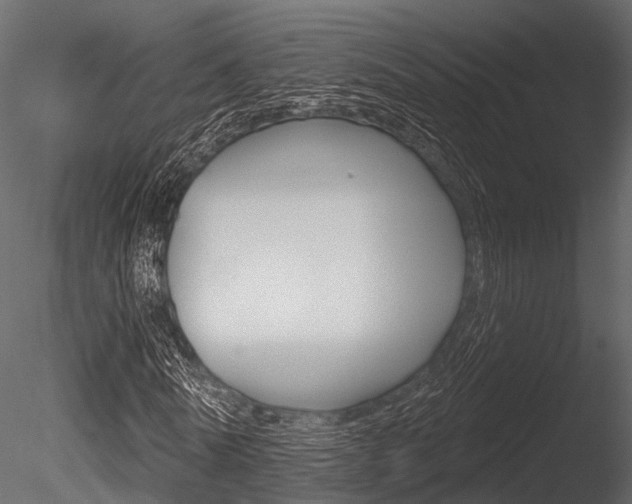 X0000085820770200703161055
