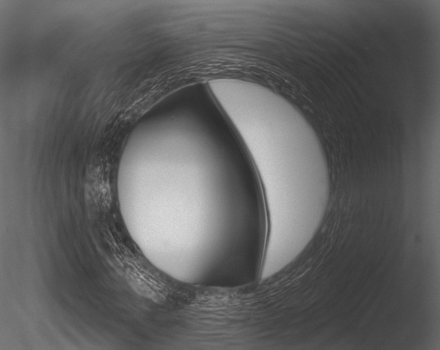 X0000085820771200703161055