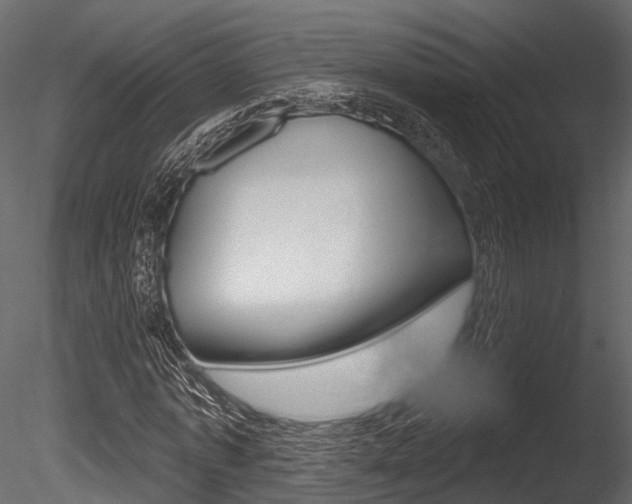 X0000085820773200703161055