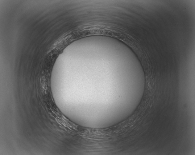 X0000085820774200703161055