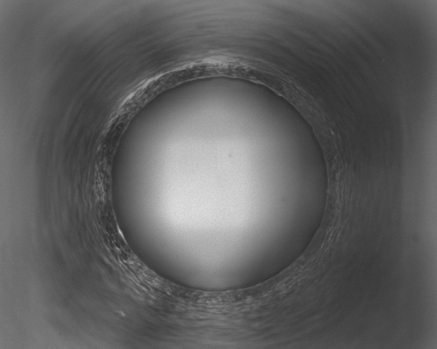 X0000085820776200703161055