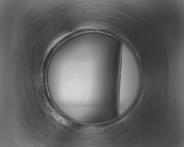 X0000085820779200703161055