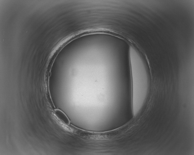 X0000085820789200703161054