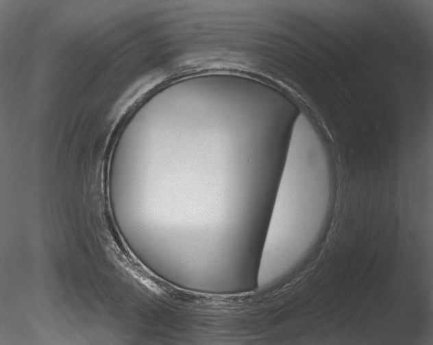 X0000085820790200703161054