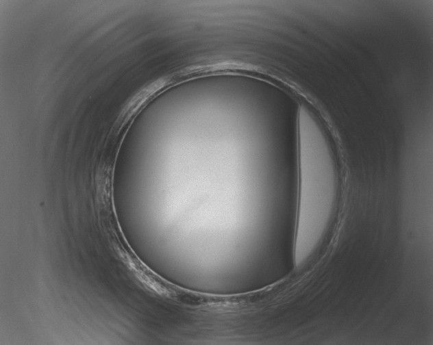 X0000085820793200703161054