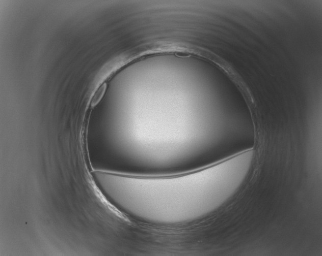 X0000085820805200703161054