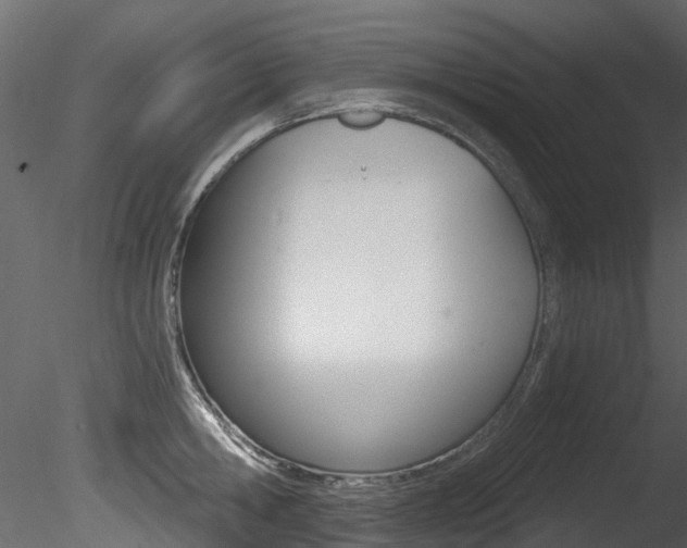 X0000085820806200703161054