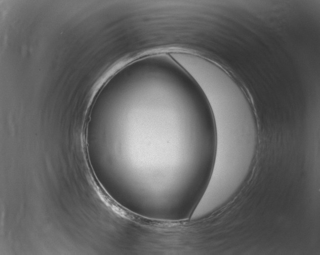 X0000085820813200703161054