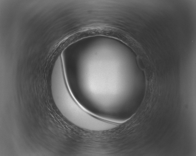 X0000085820822200703161053