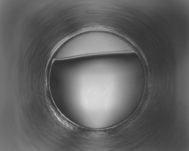 X0000085820837200703161053