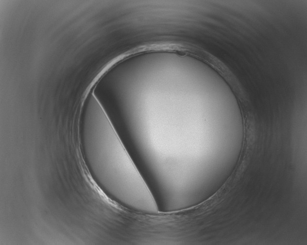 X0000085820852200703161054