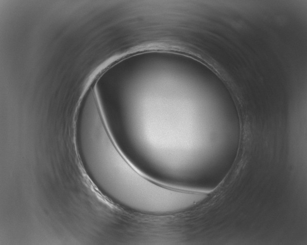 X0000085820854200703161054