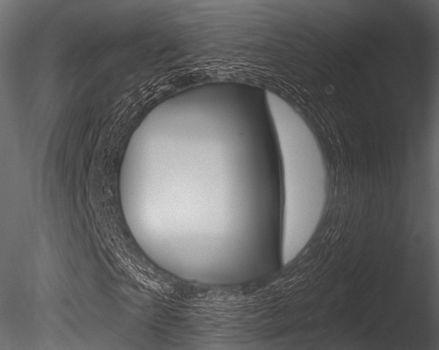 X0000085820865200703161053