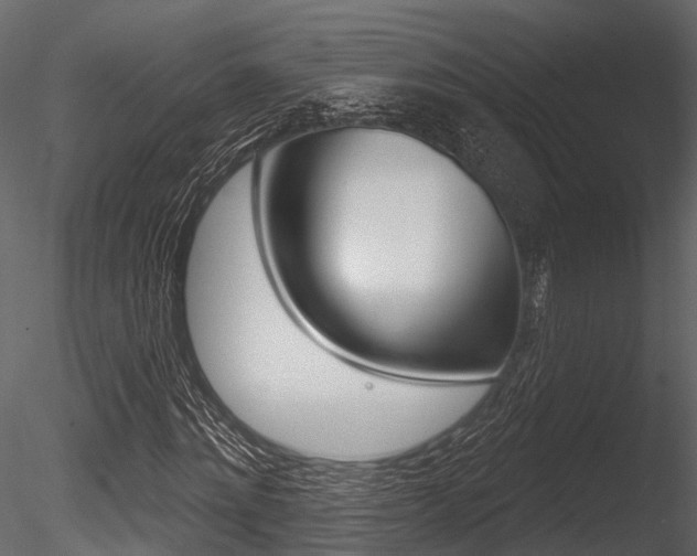 X0000085820868200703161053