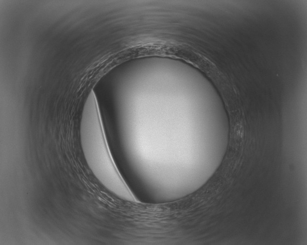 X0000085820869200703161053
