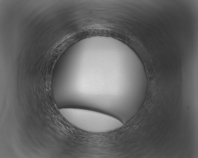 X0000085820870200703161053
