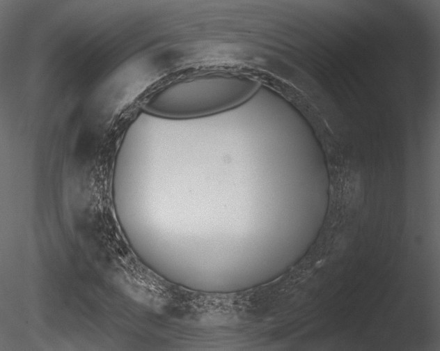 X0000085820871200703161053