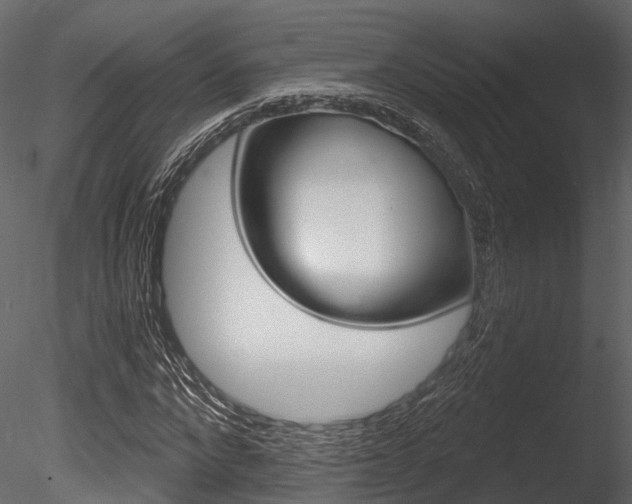 X0000085820872200703161053