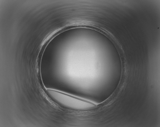 X0000085820885200703161053