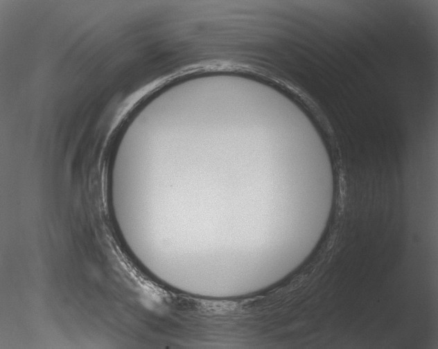 X0000085820886200703161053