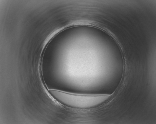 X0000085820901200703161052
