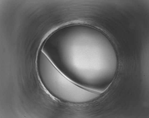 X0000085820902200703161052