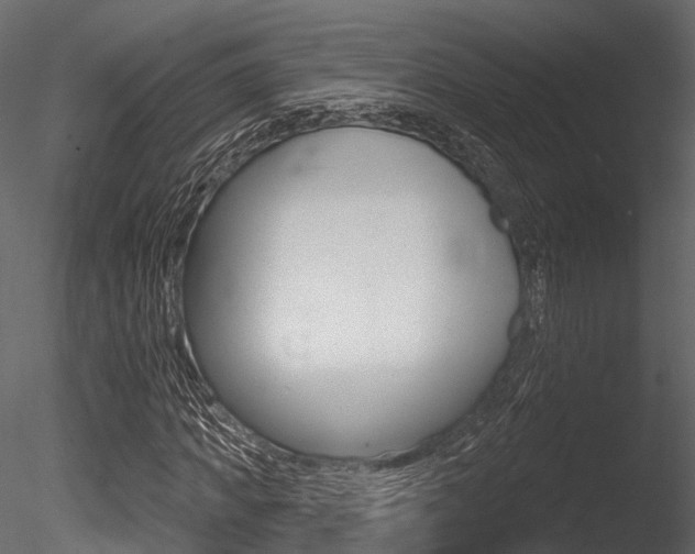 X0000085820917200703161051