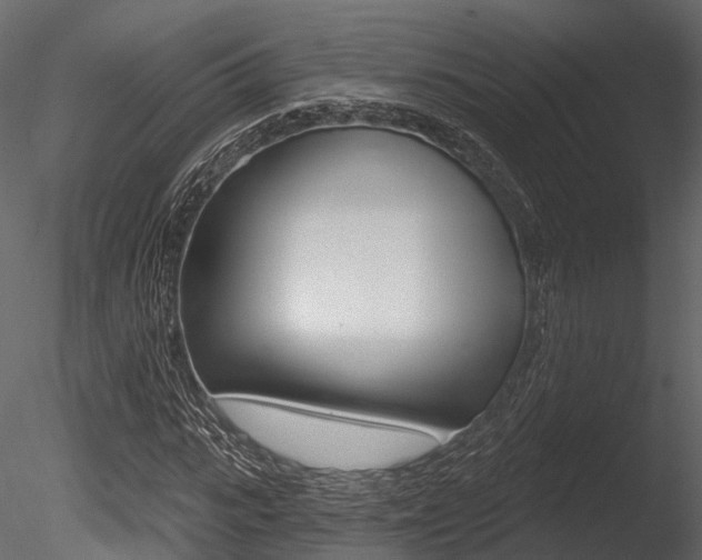 X0000085820919200703161052