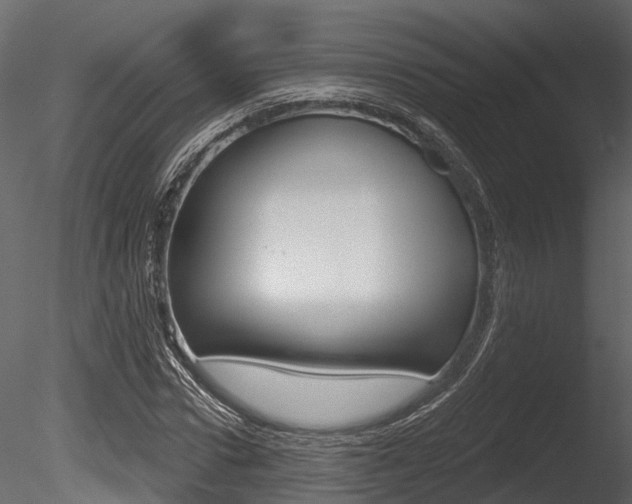 X0000085820922200703161052