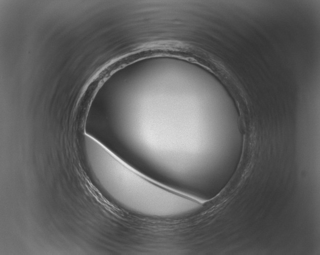 X0000085820923200703161052